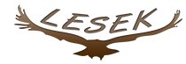 Lesek logo
